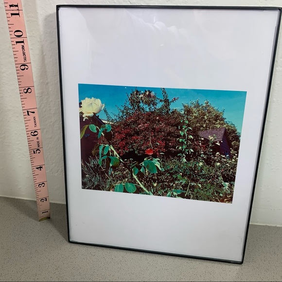 Lovely Star Original Photography Print - Picture 9 of 10